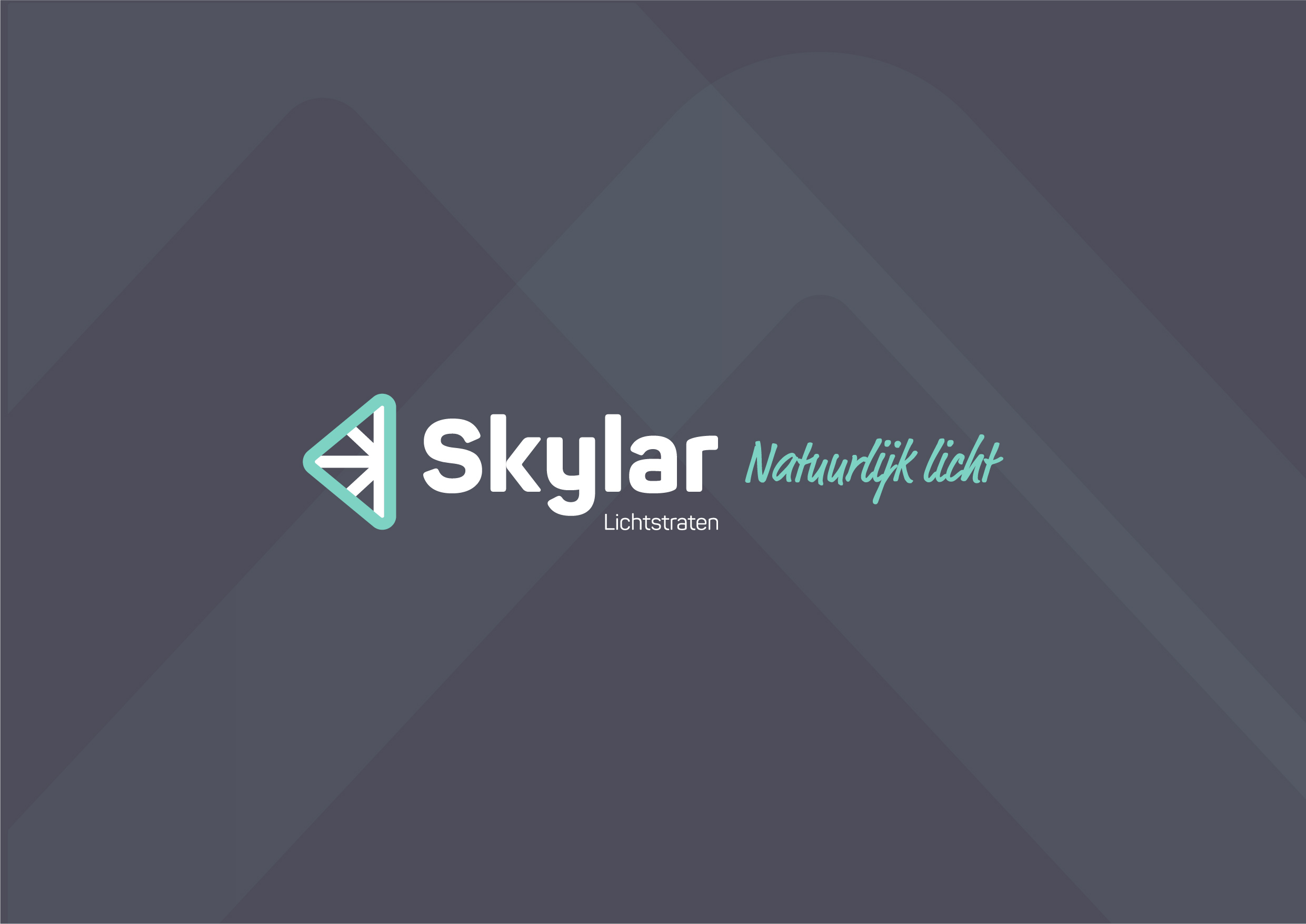 Skylar Lichtstraten logo huisstijl many more natuurlijk licht